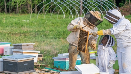 An apiarist shows a parent and child a frame which holds a large comb. All are wearing beekeeping suits.