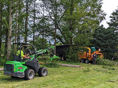 Wood log and debris cleanup.