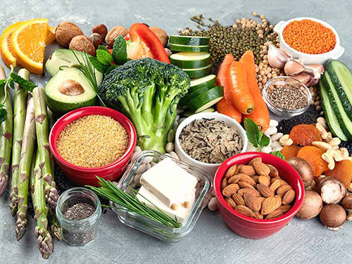 Plant based protein sources