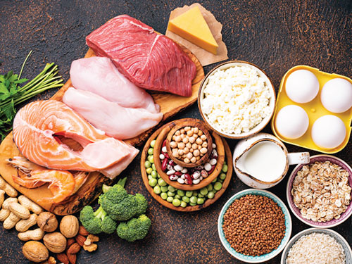 Plant vs animal protein foods.