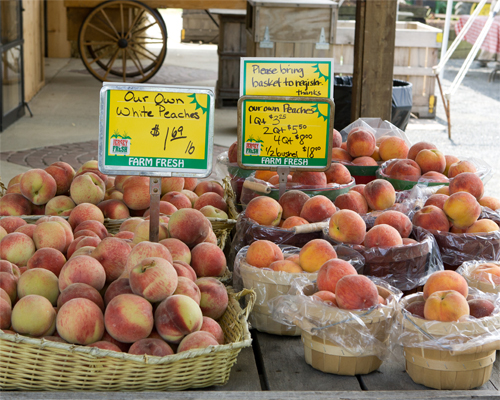 Photo: Baskets filled with peaches for sale.