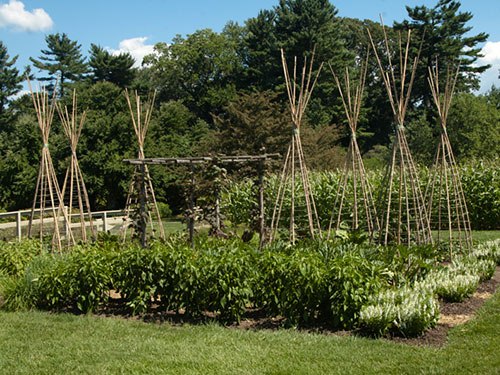 Photo: Longwood Gardens.