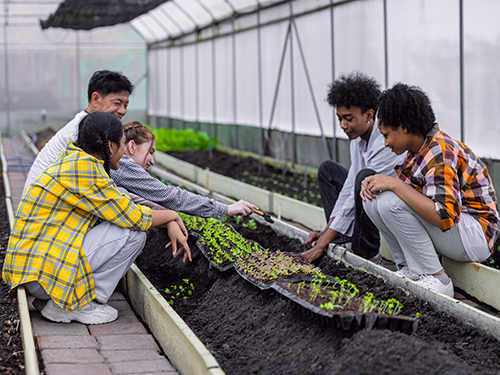 Teens learning gardening in greenhouse.