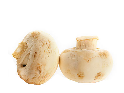 Photo: Mushrooms.