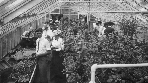 Members of the public in the Rutgers greenhouse c. 1900.