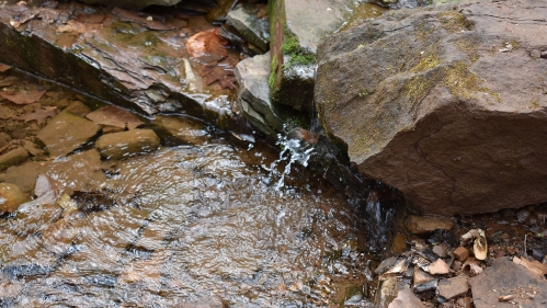 Stream in Watchung Reservation.