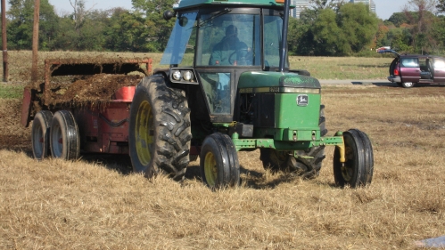 Spreading manure.