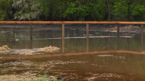 Flooded Pasture.