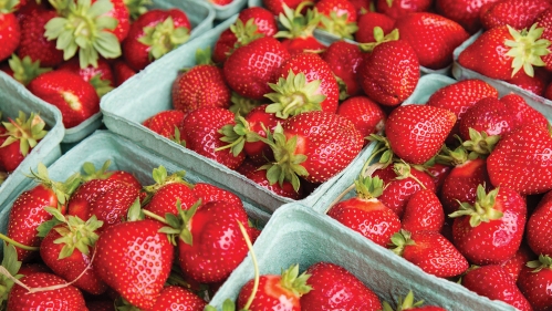 Pints of strawberries.