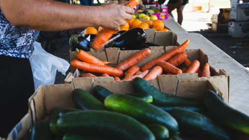 Selecting carrots at the New Brunswick Community Farmers Market