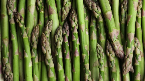 Asparagus