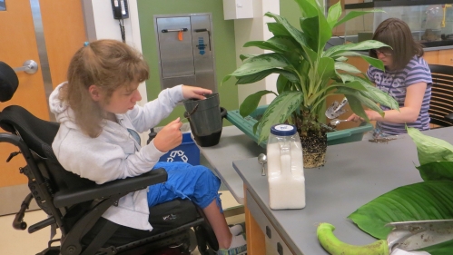 Two students with developmental disabilities working in a horticulture program.