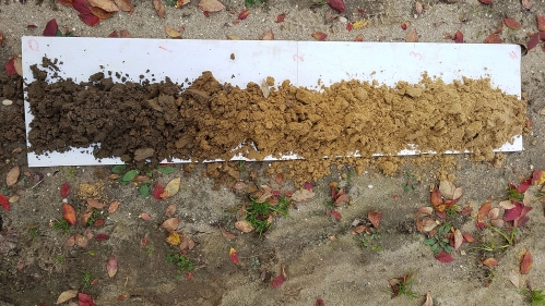 Soil from different areas.