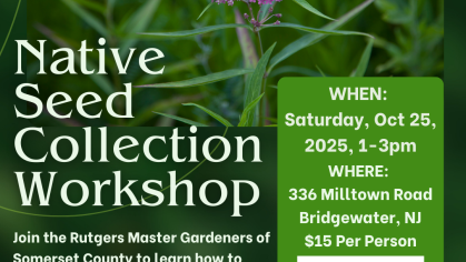 A flyer for a native seed collection workshop