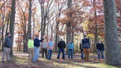 A group of students looking up at trees while the instructor speaks to them.