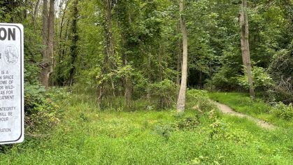A view of a section of Northern NJ Wetland with a close up of an sign indicating where the border for the land begins,