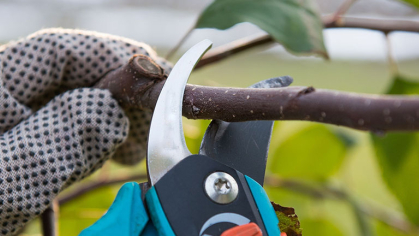 Advanced Pruning Techniques