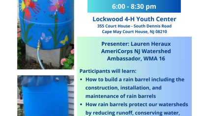 flyer with information about the Rain Barrels program