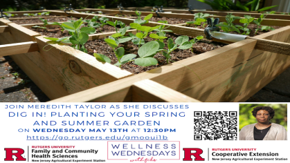 Join us for Dig In! Planting your Spring and Summer Garden!