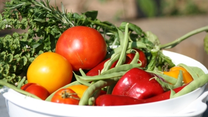 Bowl of vegetables.