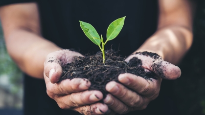 Hands holding soil and plant