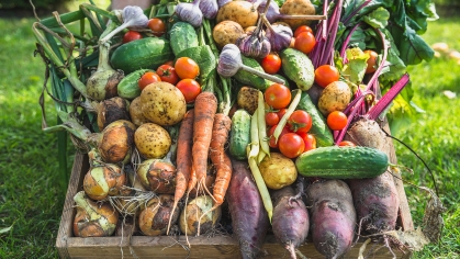 Vegetables in wooden box.