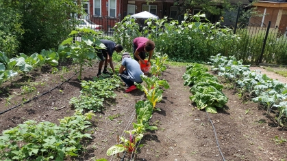 Volunteers working in agarden at the Center for Environmental Transformation, a non-profit organization dedicated to environmental transformation for the neighborhoods of Camden, NJ.