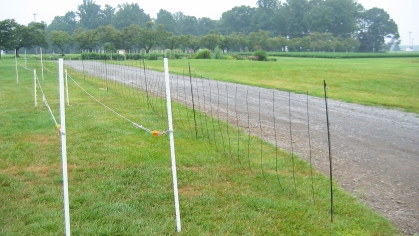 Two rows of electrified white hot tape fencing.