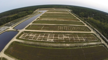 Aerial view of cranberry plots.