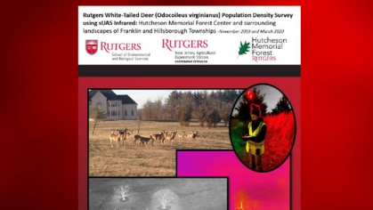 2019 and 2020 Deer Density Surveys for Hutcheson Memorial Forest, Franklin and Hillsborough Townships  report cover.