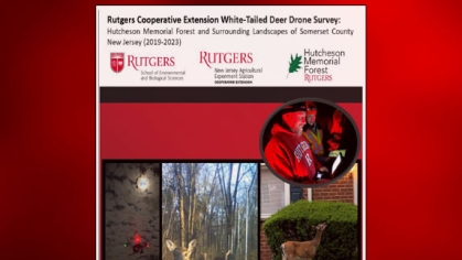 Cover of White-Tailed Deer Drone Survey Report