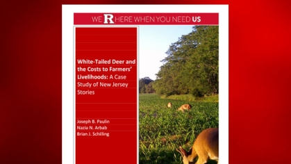 White-Tailed Deer and the Hidden Costs to Farmers’ Livelihoods: A Case Study of New Jersey Stories report cover