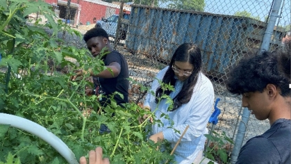 Teens working in an urban garden.