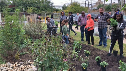 A group of people working in a garden.