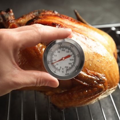 Turkey with food thermometer.