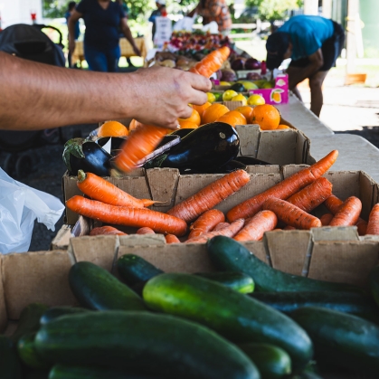 Selecting carrots at the New Brunswick Community Farmers Market
