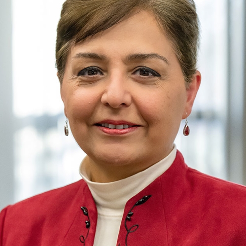 Nurgül Fitzgerald headshot.