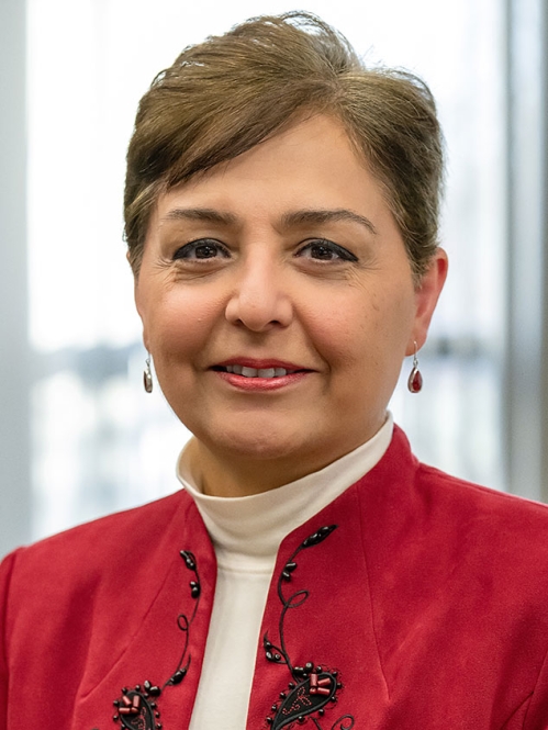 Nurgül Fitzgerald headshot.