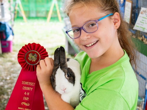 Somerset County Rabbit, Cavies, Small Animals participant