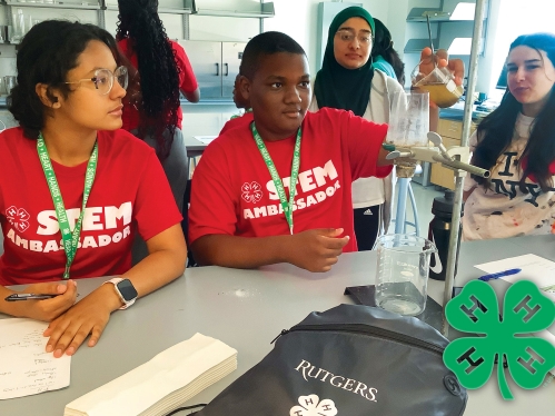 4-H STEM science project.