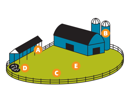 Backyard Runoff Management Plan Diagram
