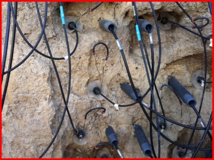 Detail of soil monitoring sensors.