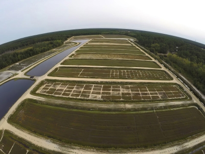 Aerial view of cranberry plots.