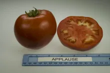 Applause