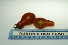 Austin's Red Pear