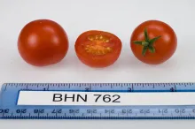 BHN 762