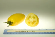 Banana Legs