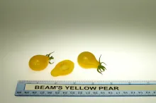 Beam's Yellow Pear