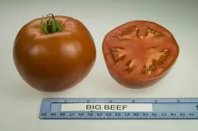 Big Beef