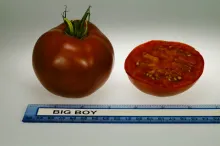 Big Boy